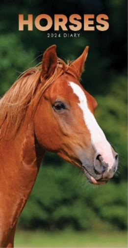 2024 Horse Slim Diary