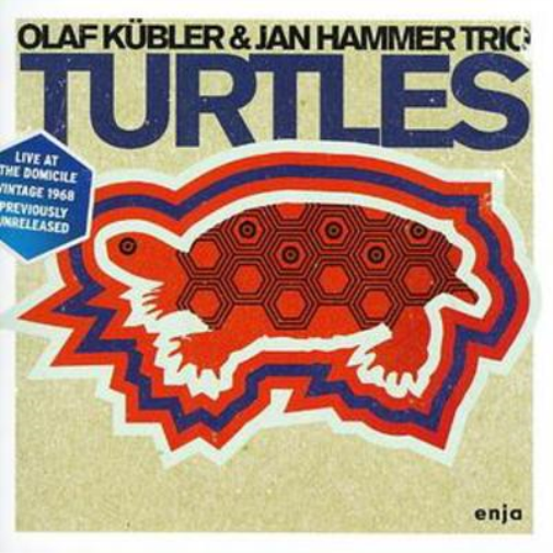 Turtles