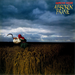 A Broken Frame