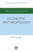 Advanced Introduction to Economic Anthropology