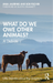 What Do We Owe Other Animals?