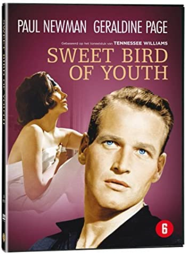 Sweet bird of youth