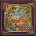 Pretty. Odd