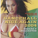 Power 96 Presents...dancehall Nice Again 2004