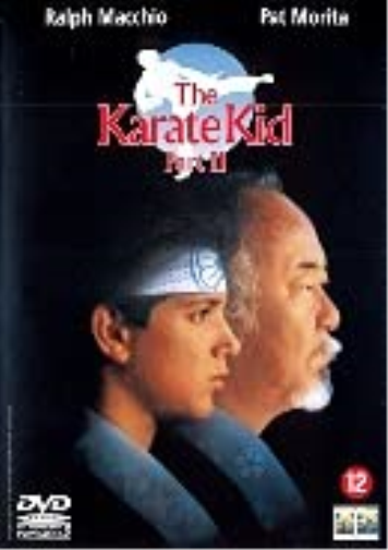 Karate kid 2