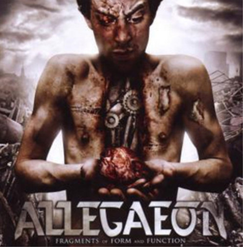 Fragments of Form and Function