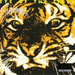 Eye of the Tiger