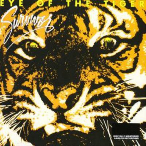Eye of the Tiger
