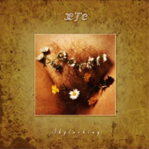 Skylarking: Corrected Polarity Edition