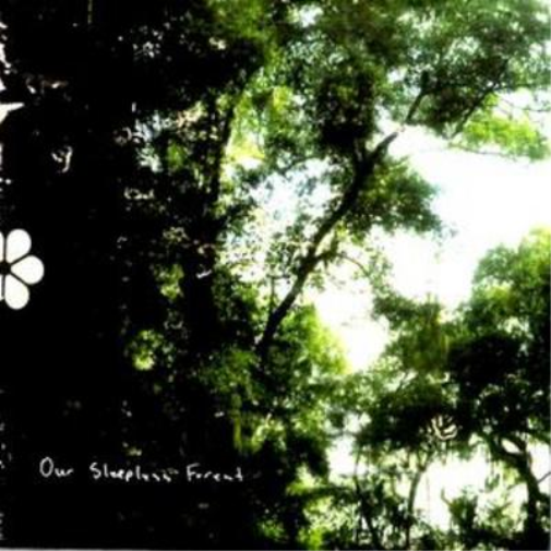 Our Sleepless Forest