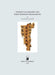 Chinese Calligraphy and Early Buddhist Manuscripts