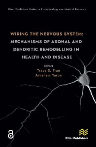 Wiring the Nervous System: Mechanisms of Axonal and Dendritic Remodelling in Health and Disease