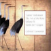 The Art of the Koto - Volume 3