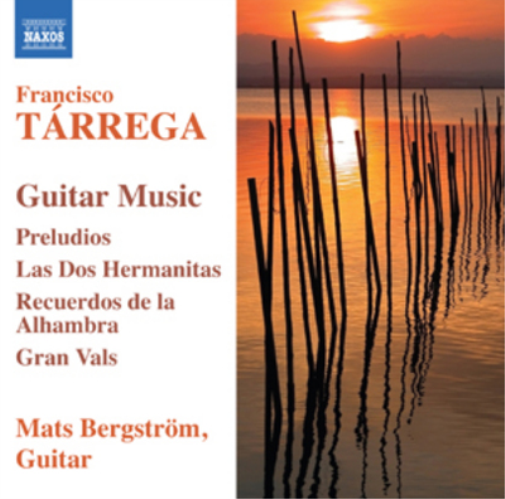 Guitar Music