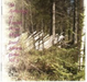 An Anthology Of Finnish Piano Music Vol