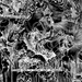Strange Keys to Untune Gods' Firmament