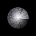Radioland: Radio-activity Revisited