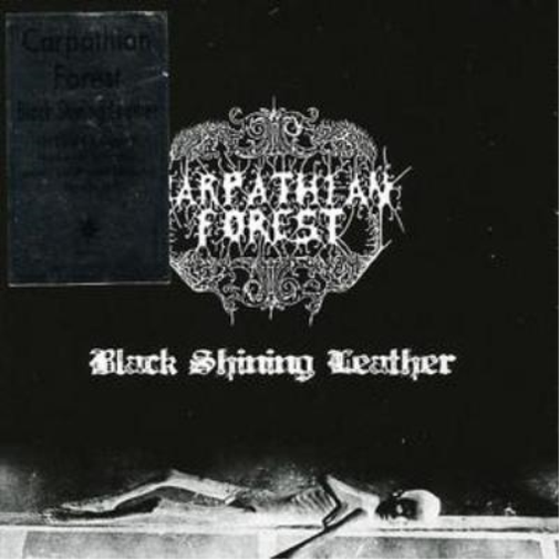 Black Shining Leather