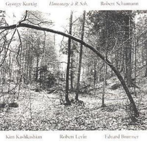 Hommage A R. Sch.