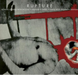 Rupture