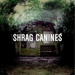 Canines