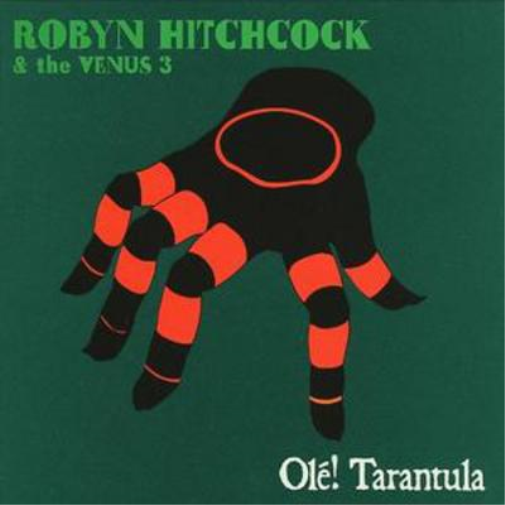 Ole! Tarantula