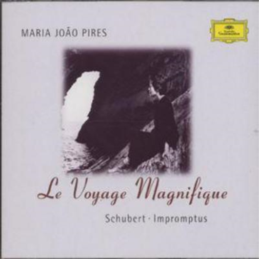 Le Voyage Magnifique