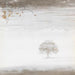 Wind & Wuthering