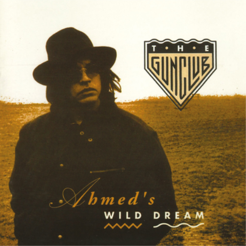 Ahmed's Wild Dream