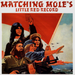Matching Mole's Little Red Record