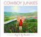 Sing in My Meadow