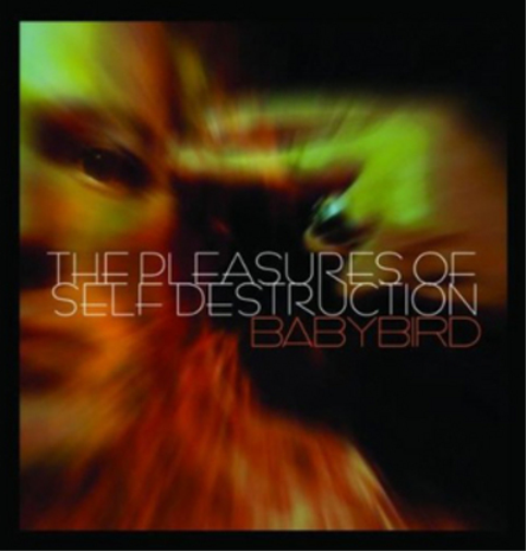 The Pleasures of Self Destruction