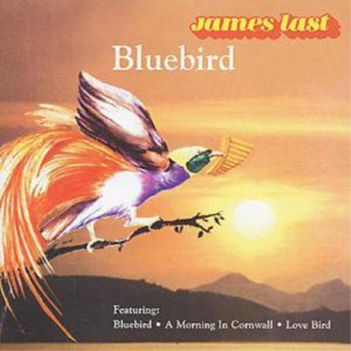 Bluebird