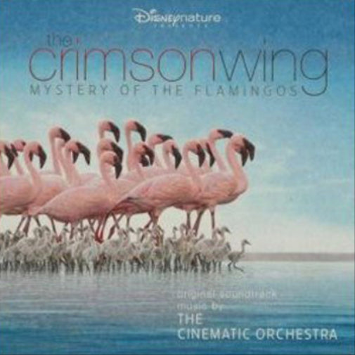 The Crimson Wing: Mystery of the Flamingos
