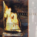 Michael Nyman - Live