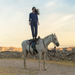 Mattiel