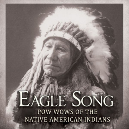 Eagle Song: Pow Wow of the Native American Indians