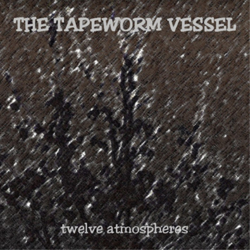 Twelve Atmospheres