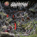 Realms of Outer Decay