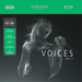 Great Voices - Volume 3