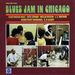 Blues Jam in Chicago - Volume 2