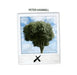 X/Ten