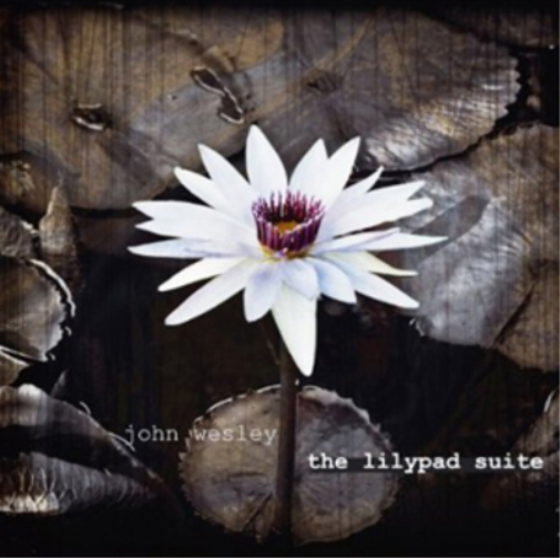 The Lilypad Suite