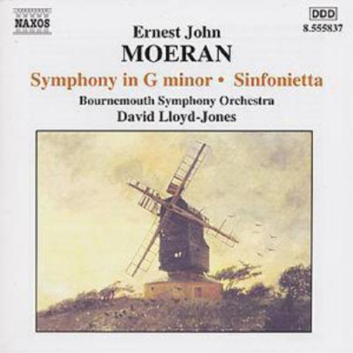 Symphony In G Minor: Sinfonietta