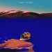 Night Flight: New Version
