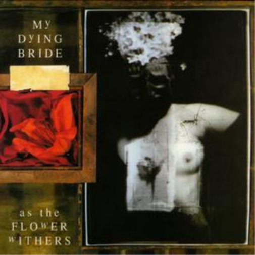 As the Flower Withers