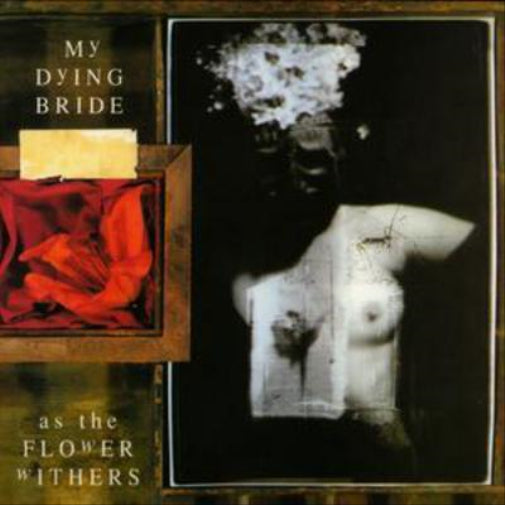 As the Flower Withers