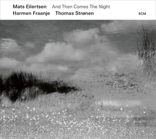 And Then Comes the Night