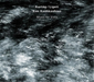 Kurtag/Ligeti: Music for Viola