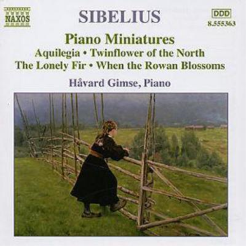 Piano Works Vol. 4 (Gimse)
